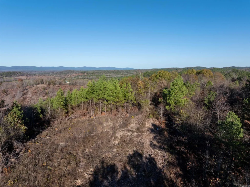 Lot 13 Polk Road 617, Mena