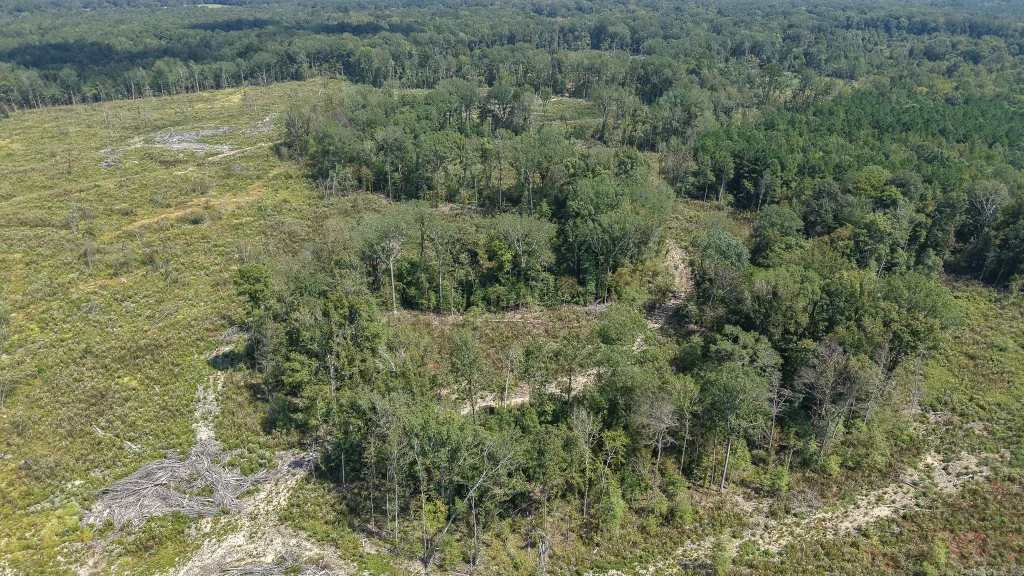 Tbd Tram Rd, Horatio