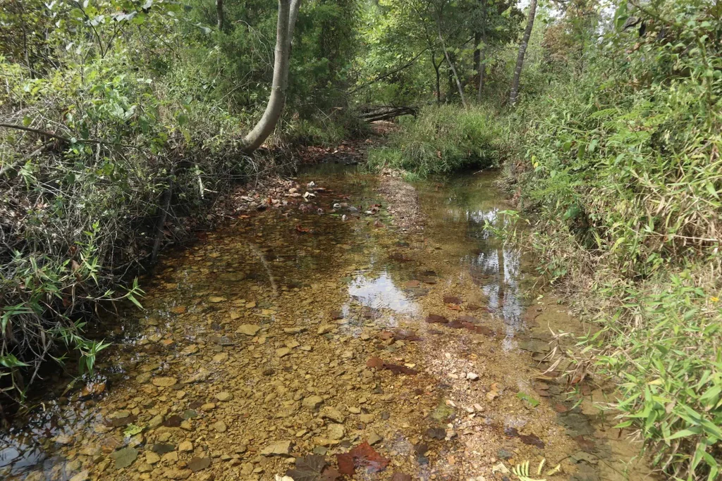 253 Coyote Rd, Salem