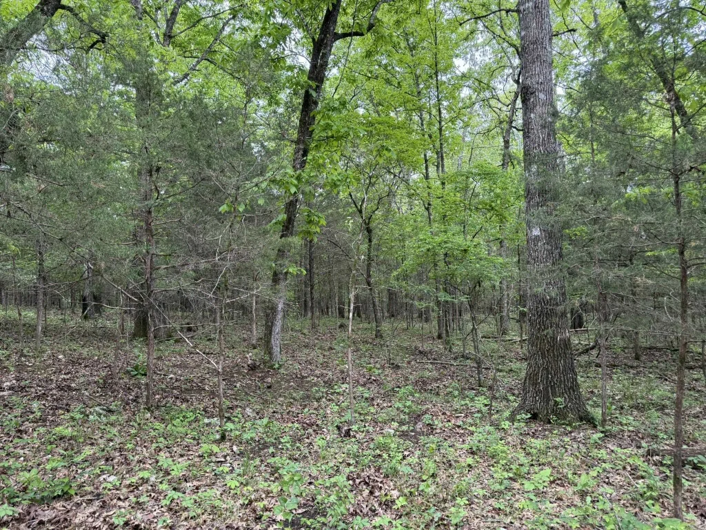 26 Ridge Road, Hardy