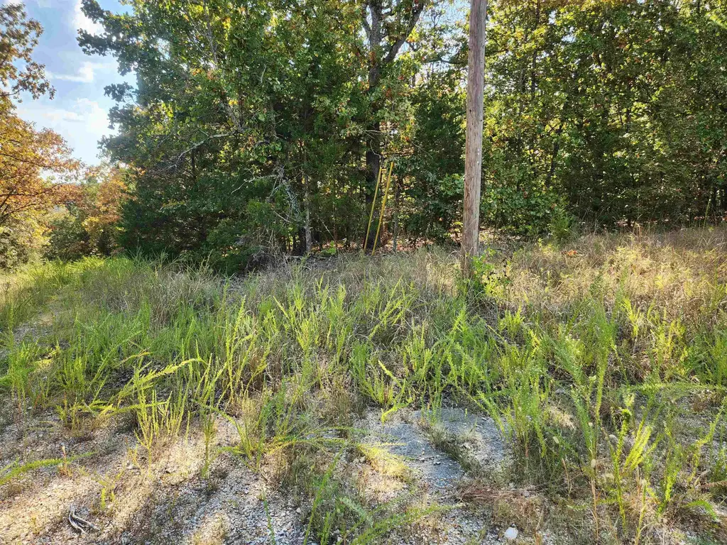 L16b5 Colonino Drive, Cherokee Village