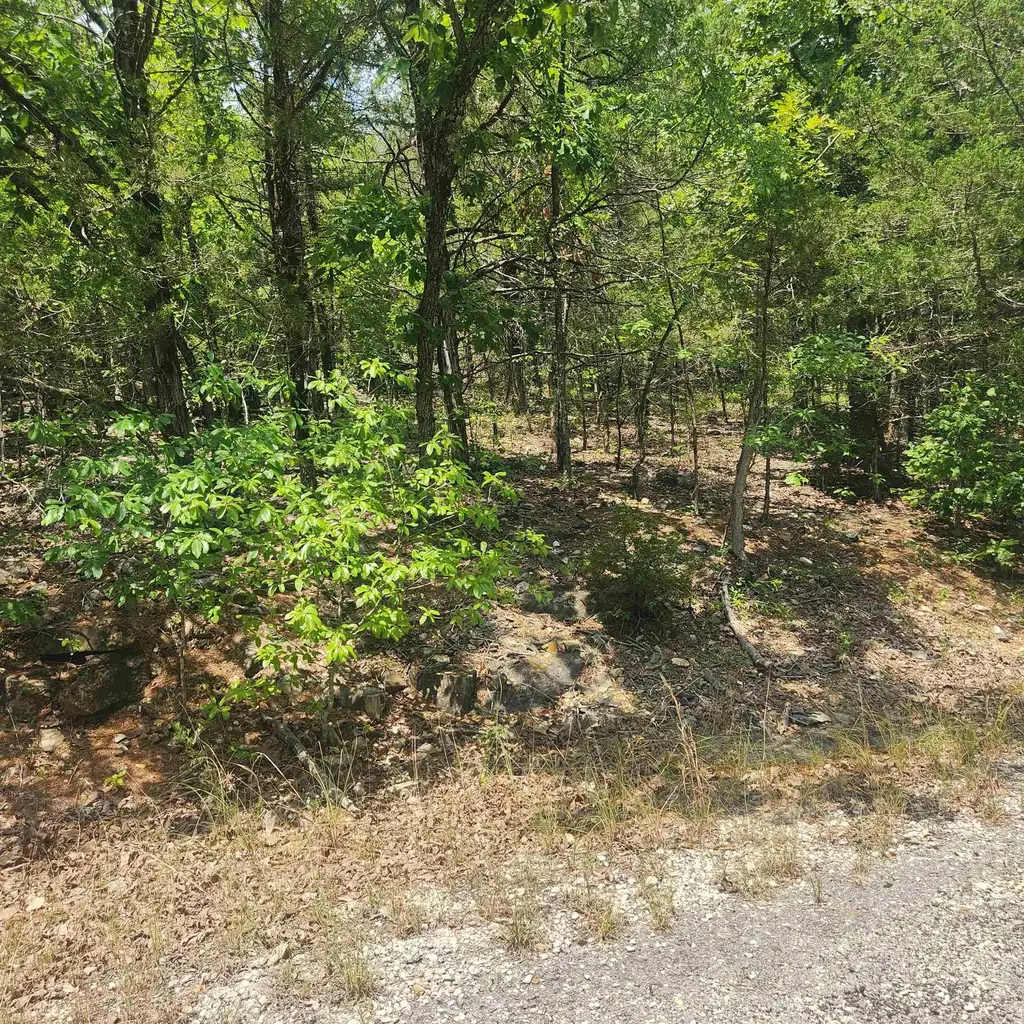 L-61, B-7 Lochloosa Drive, Cherokee Village