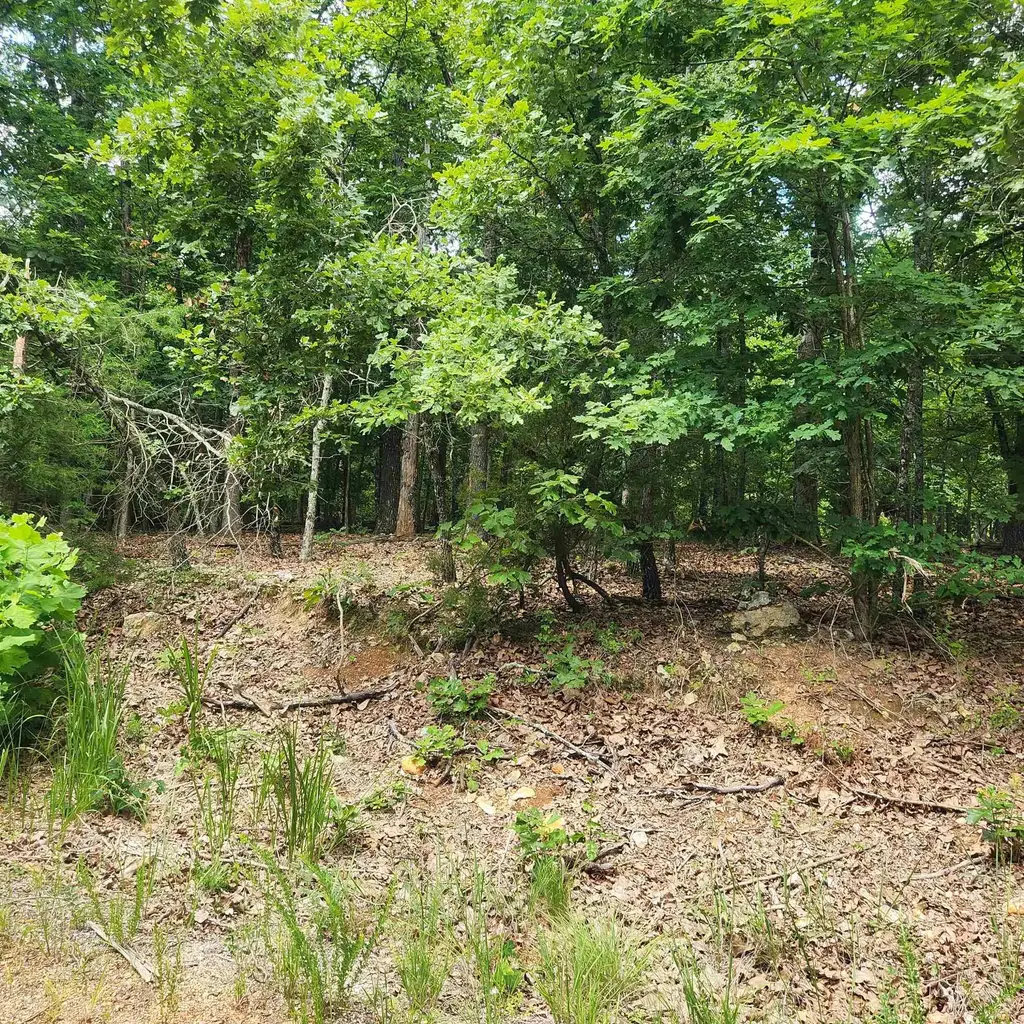 L-60, B-6 Anadarko Drive, Cherokee Village