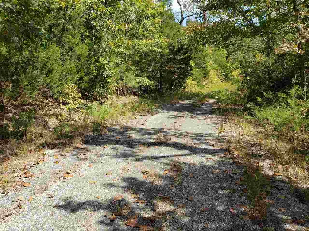 L-55 & 56 B-7 Lochloosa Drive, Cherokee Village