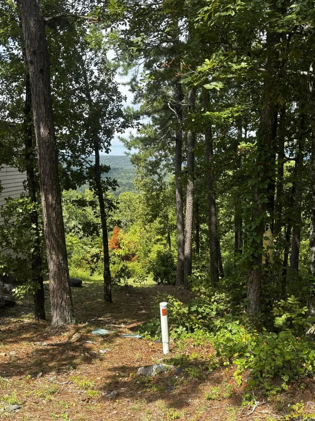 140 E Villena Drive, Hot Springs Village