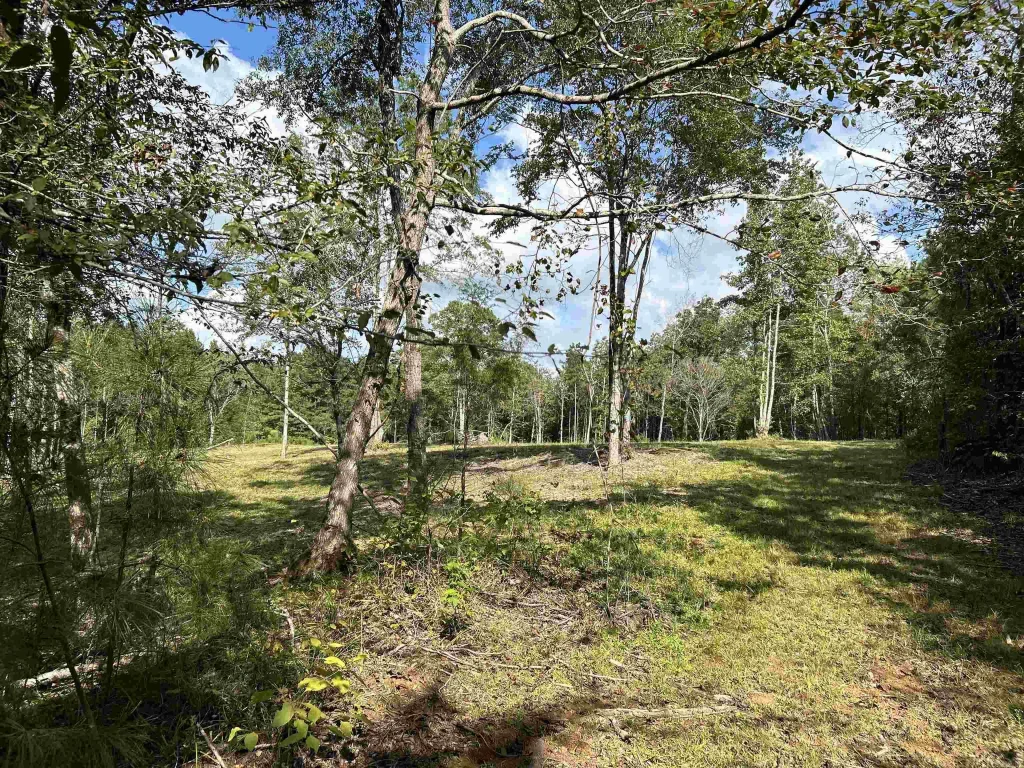 Tbd Cedar Grove Road, Arkadelphia