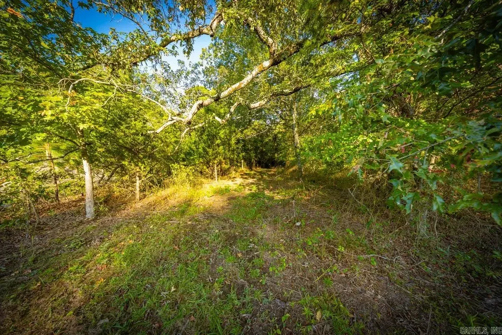 0 Serenity Drive, Little Rock