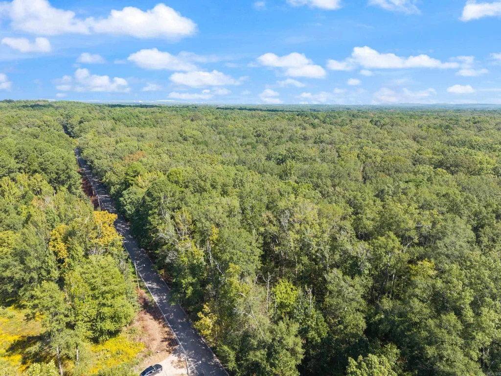 40 Acres Heinke Road, Little Rock