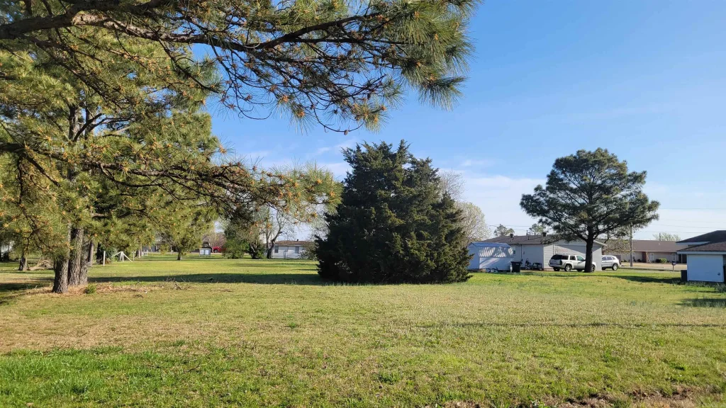 2011 Margo, Jonesboro