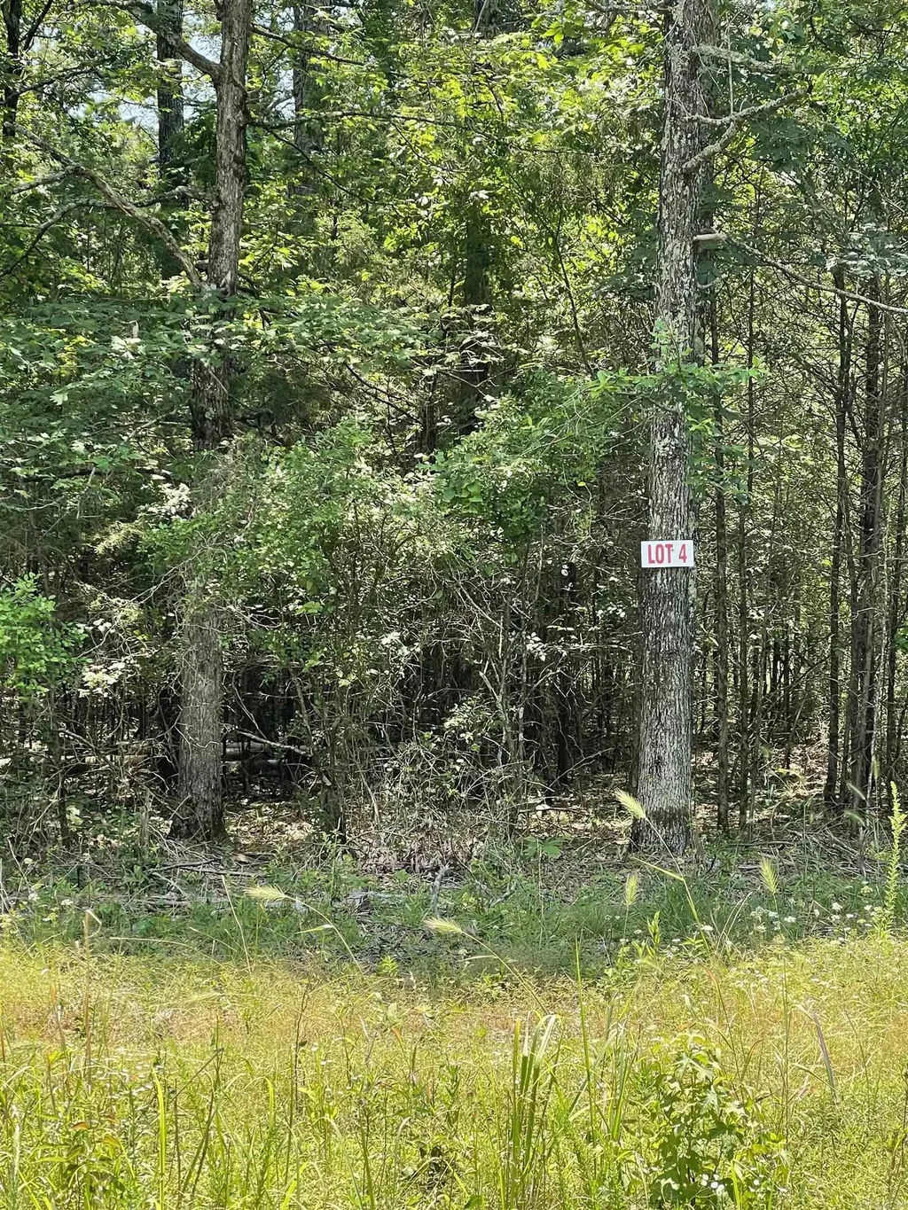 Lot 4 Pleasant Ridge Road, Greers Ferry