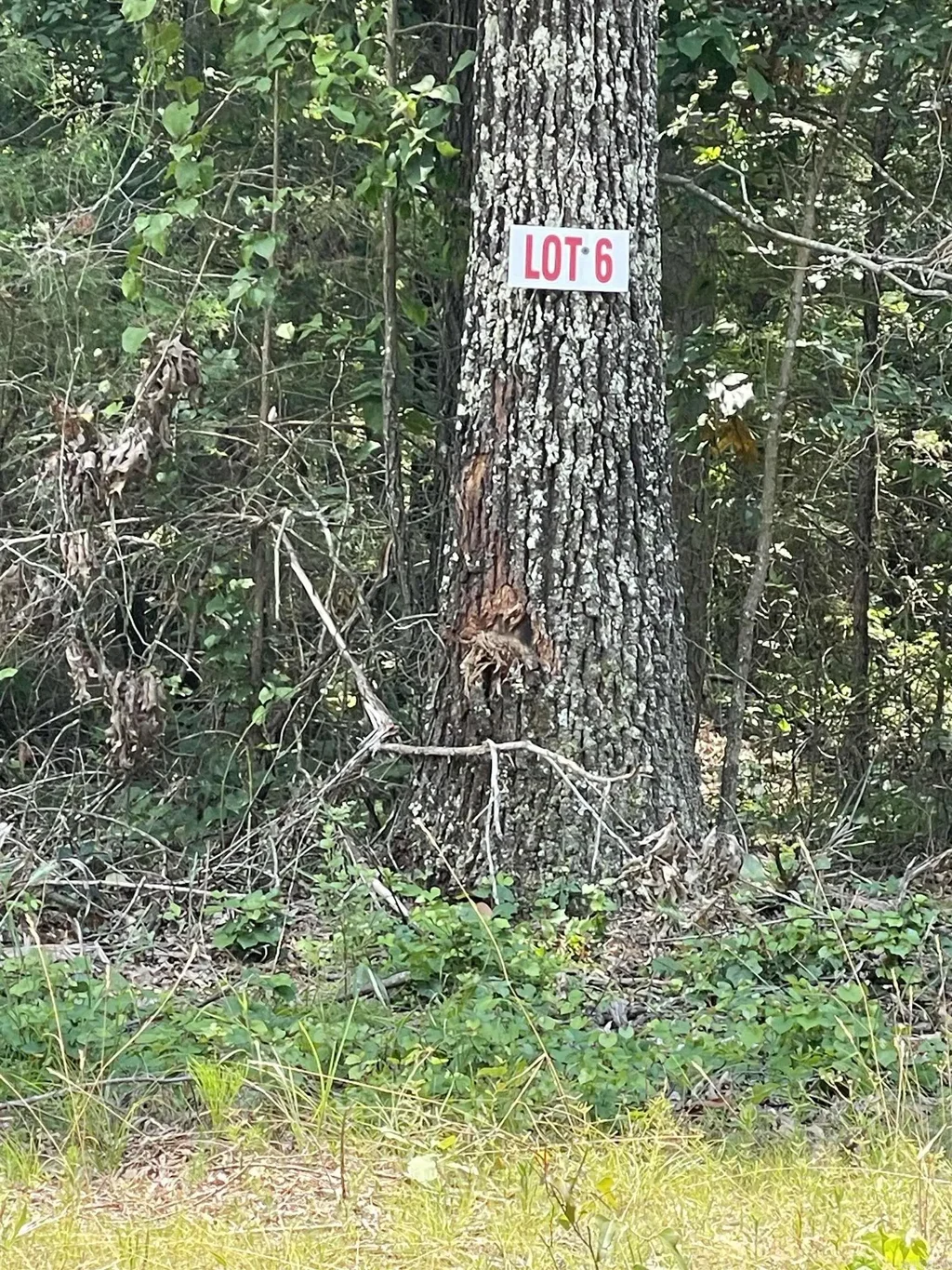 Lot 6 Pleasant Ridge Road, Greers Ferry