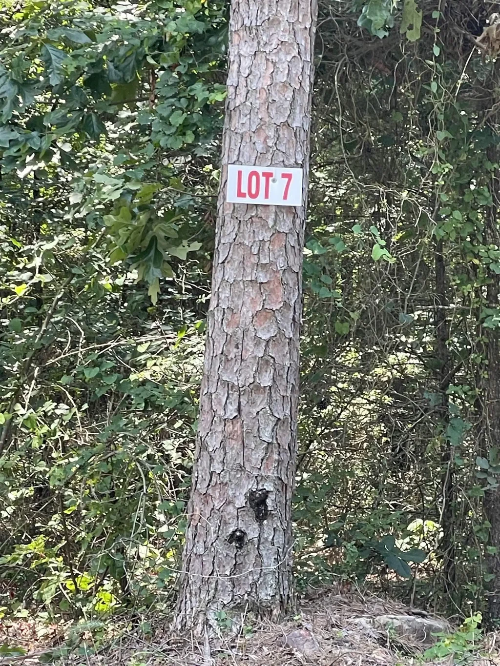 Lot 7 Pleasant Ridge Road, Greers Ferry