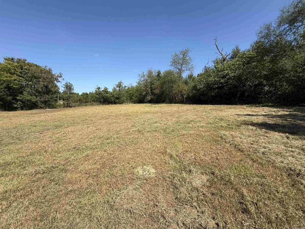 1380 Five Mile Loop, Drasco