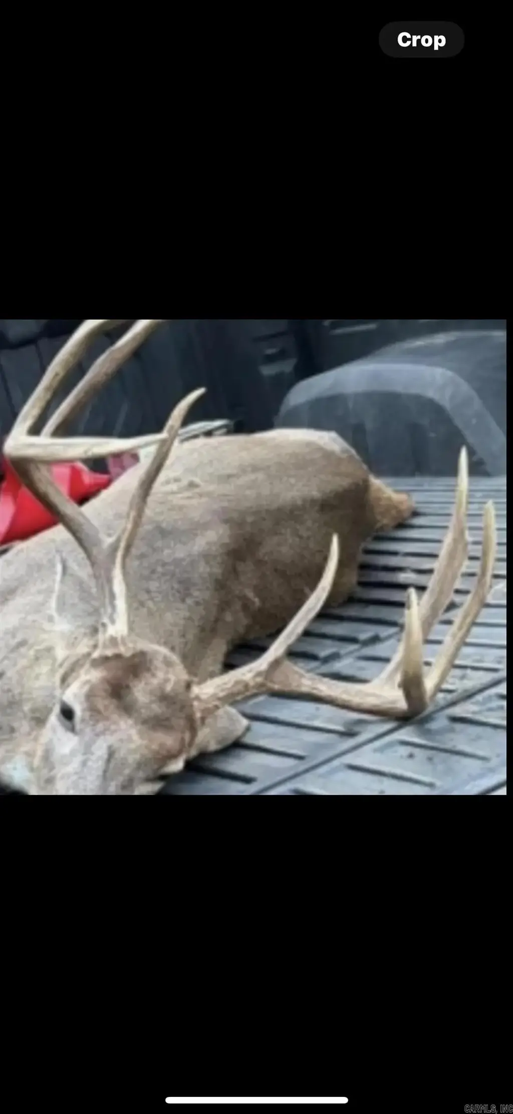 Tbd Bradley 351, Johnsville