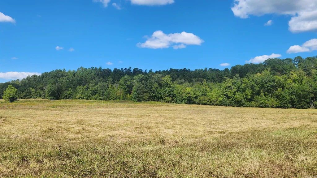 202 (lot#17) Reva's Way, Story