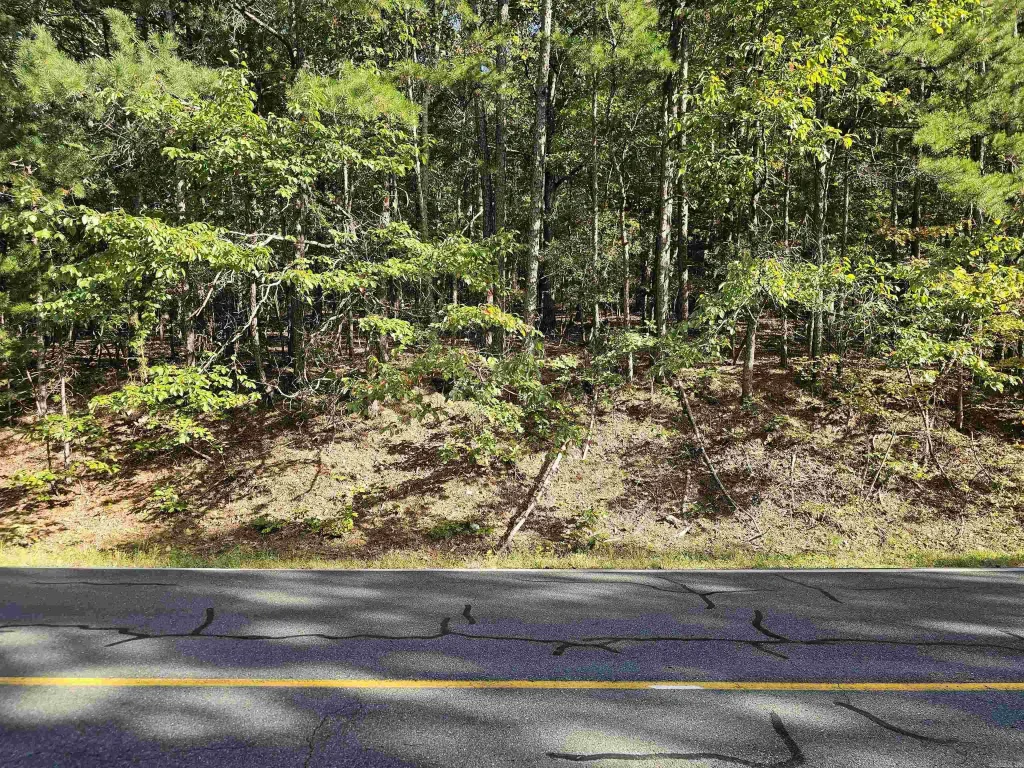 103 E Villena East Dr Drive, Hot Springs Village