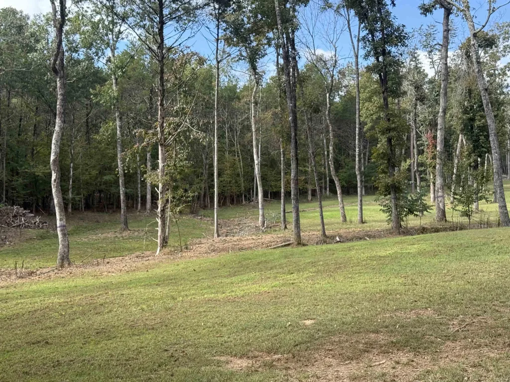 287 Zoe Lane, Clinton