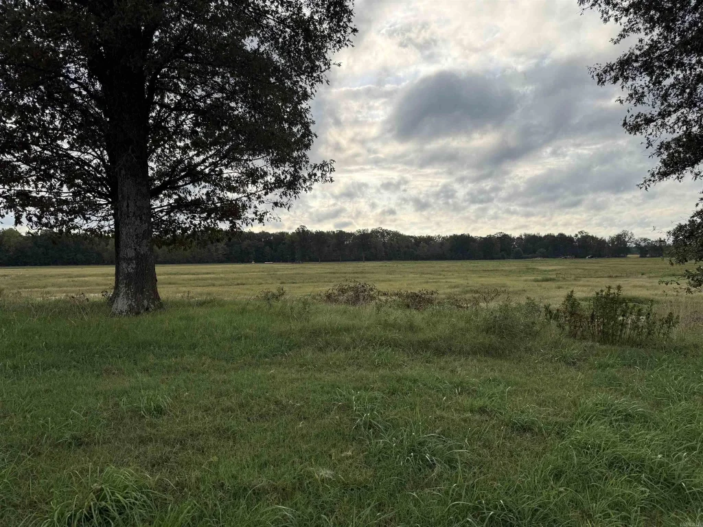 6072 County Road 745, Brookland