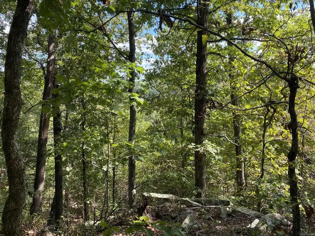 Lot 11 Cooper Point, Mountain View