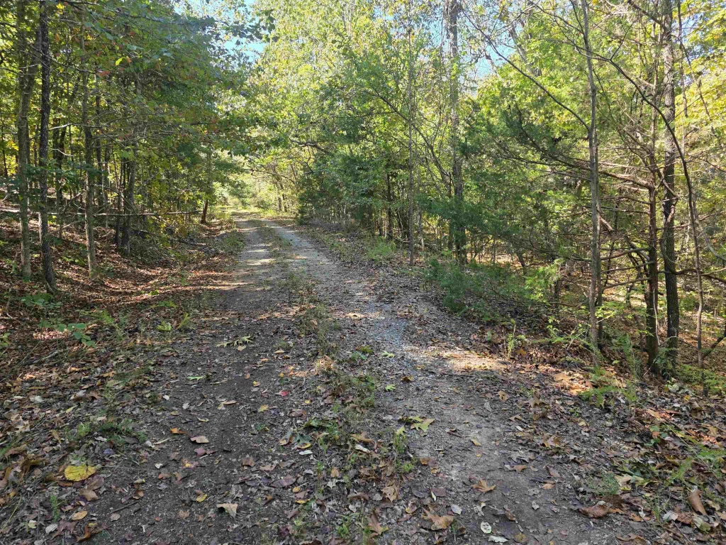 L10b4 Clatsop Circle, Cherokee Village