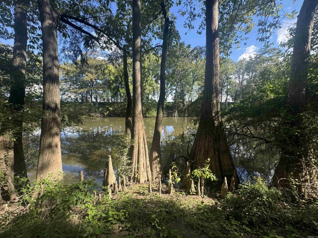 881 N 15 Highway, Lonoke