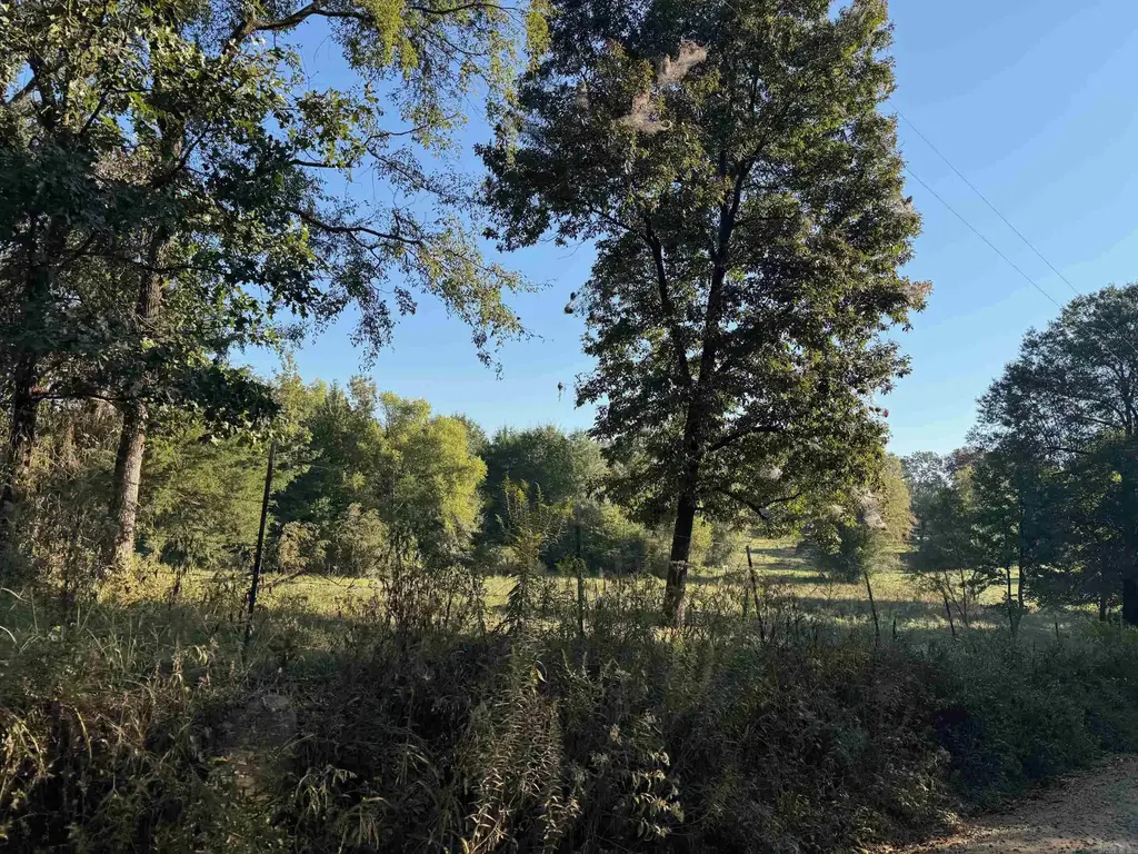 Tbd Polk Road 19, Cove