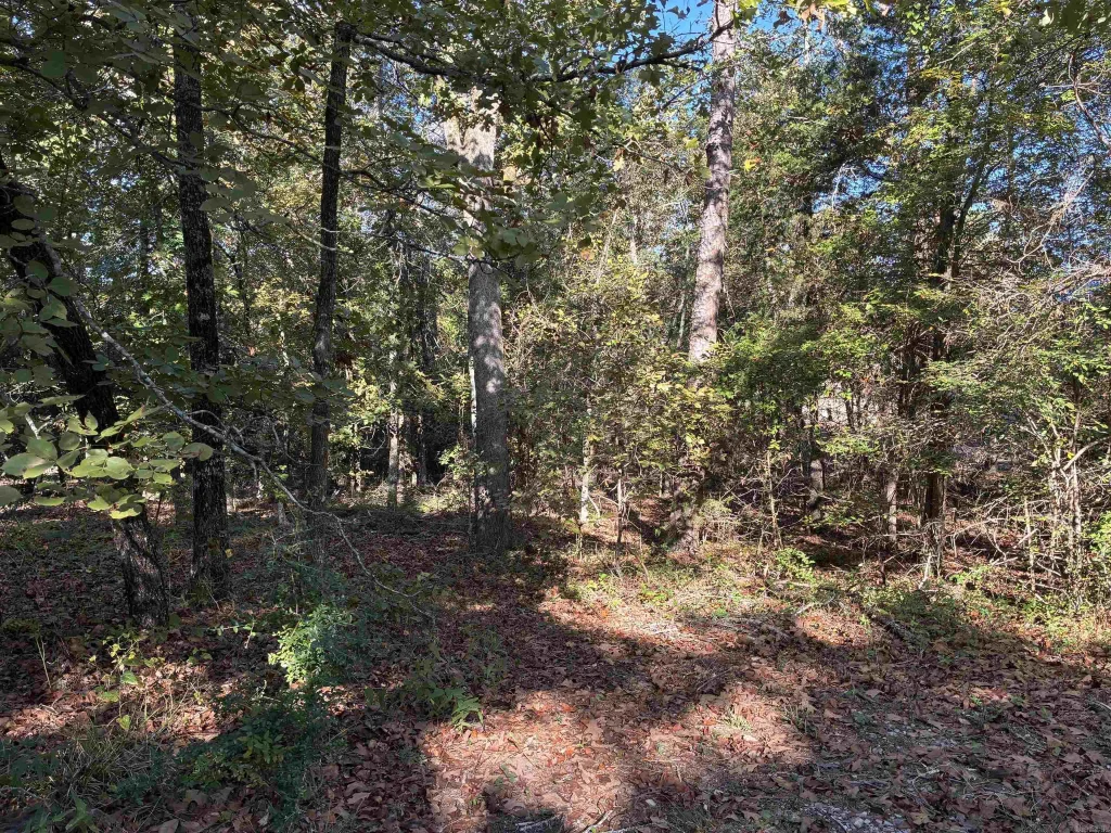 28 Cresta Way, Hot Springs Village