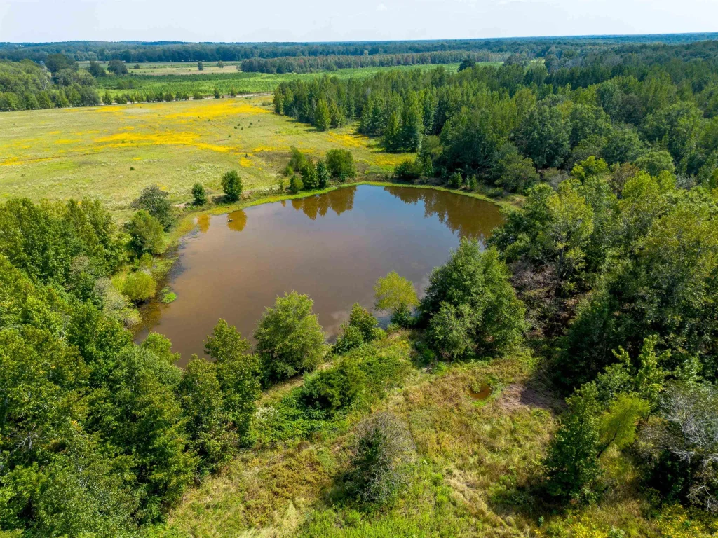 000 Gillham Rd., Beebe