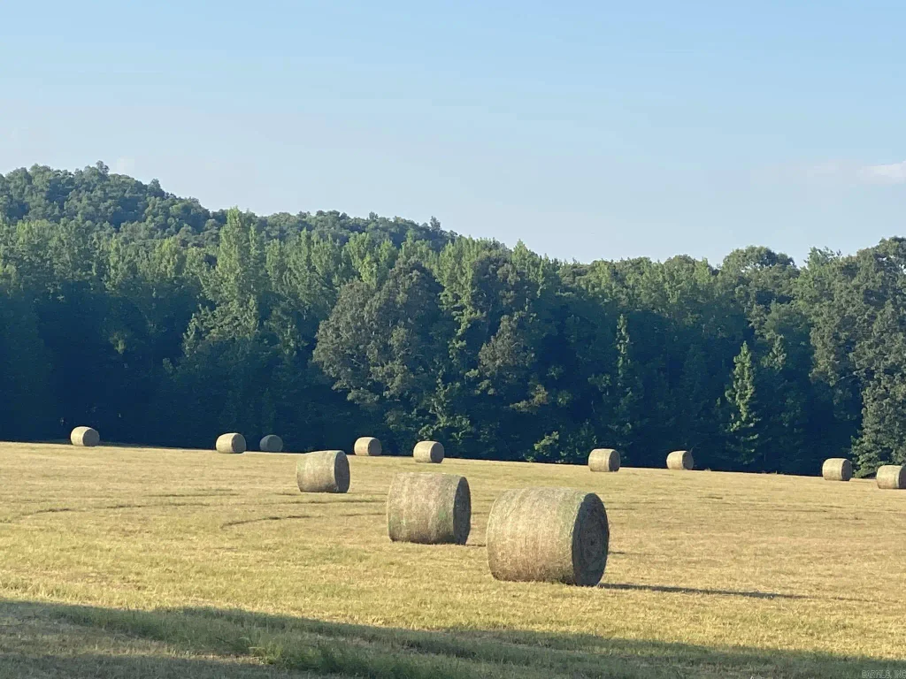 206 Manning Road, Mt. Vernon