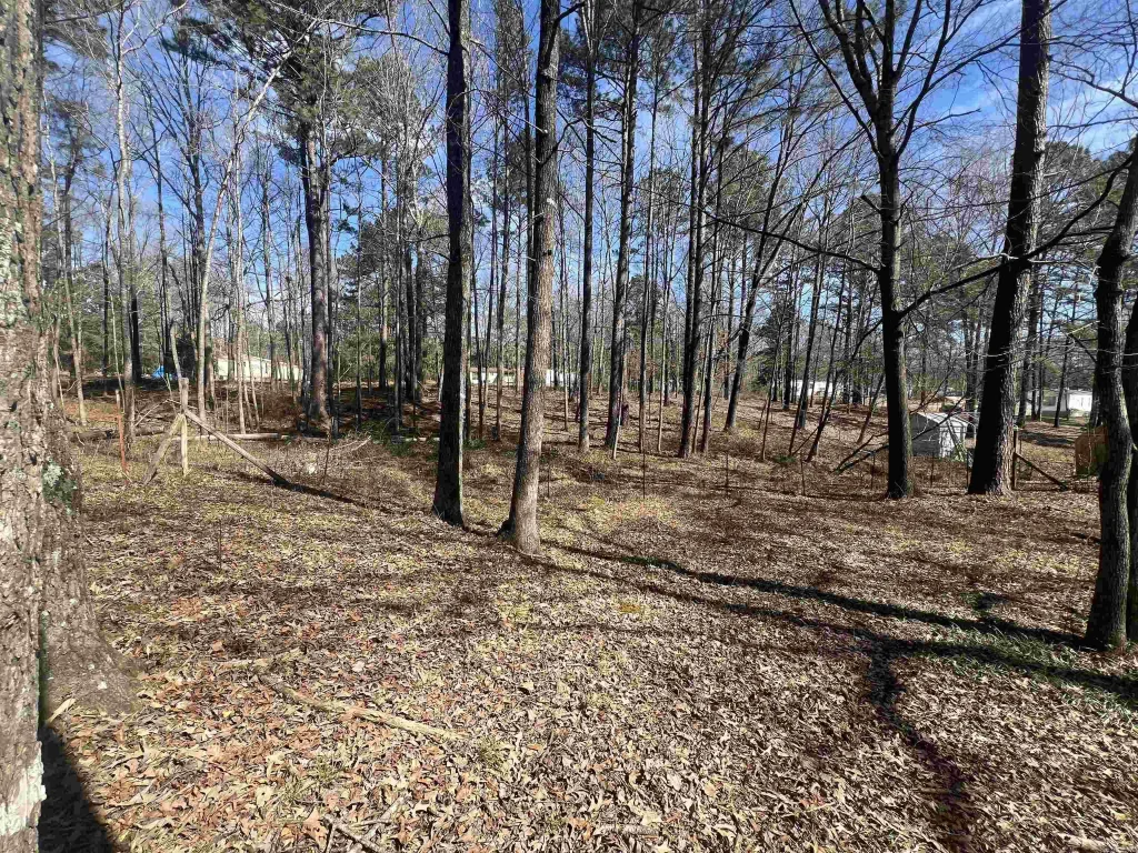 9406 Venus Drive, Mabelvale