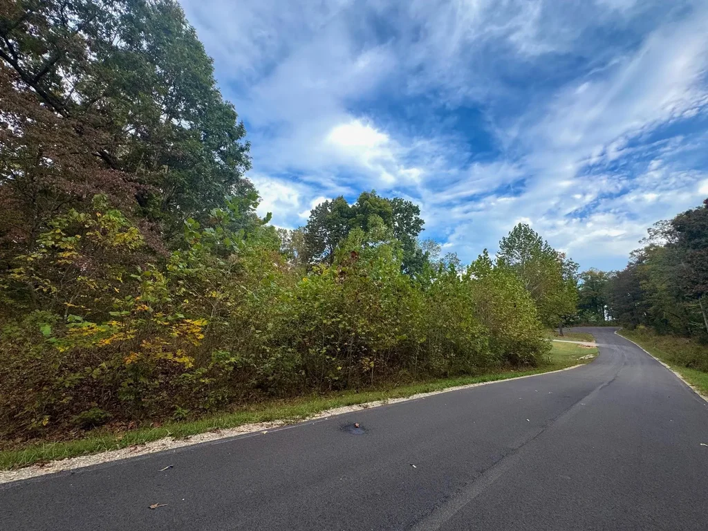 Lot 29 Goodwin Cove, Ash Flat