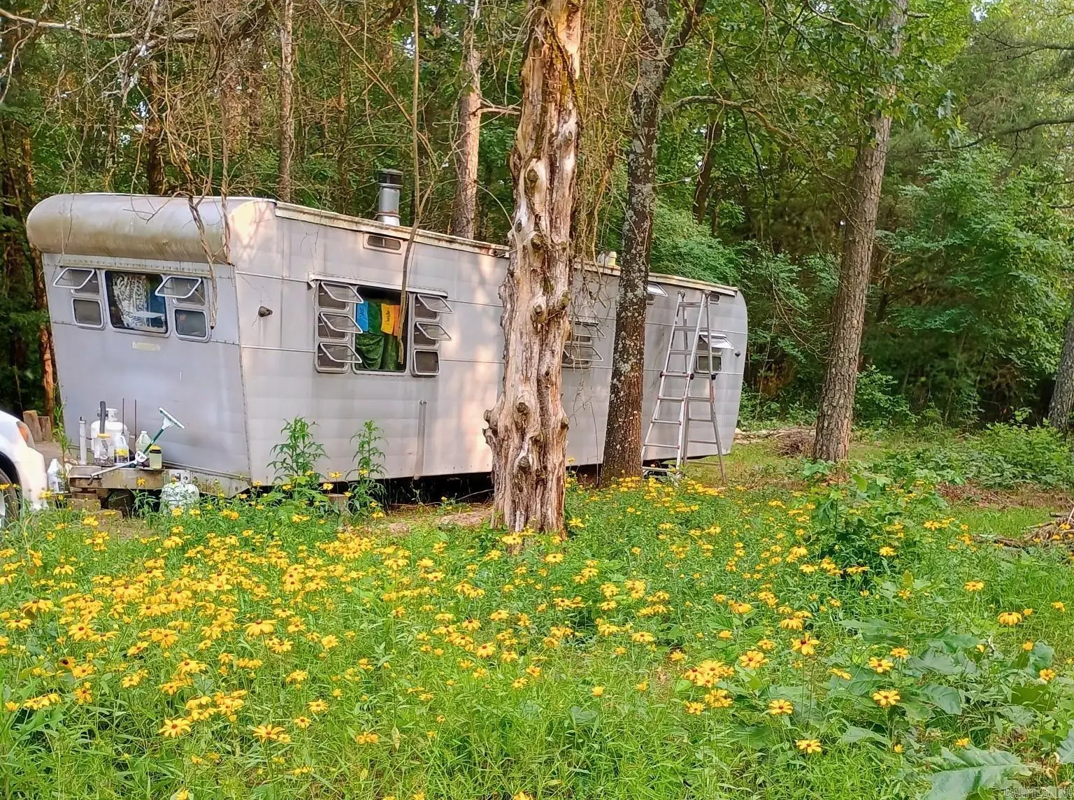 313 Bobbits Lane, Clinton