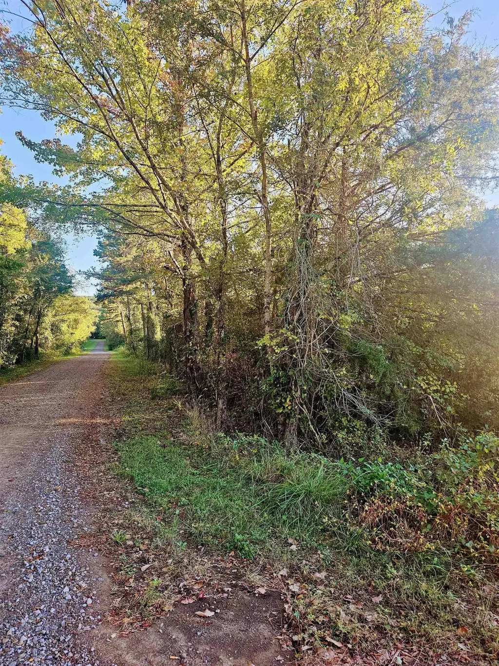 2615 Highway 10 W, Casa