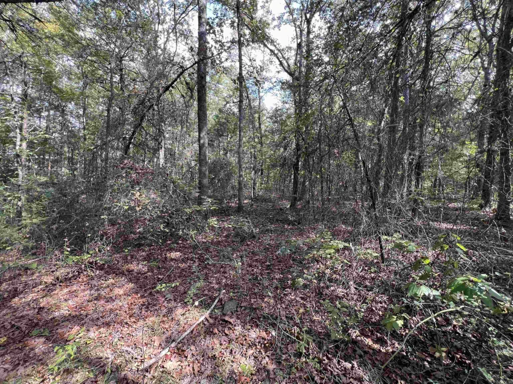 433 Cody Dr, Clinton