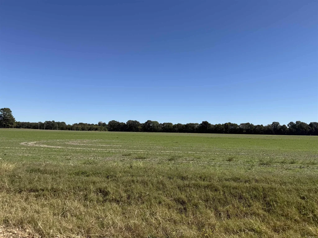 30 Acres +/- Greene 520 Rd, Marmaduke