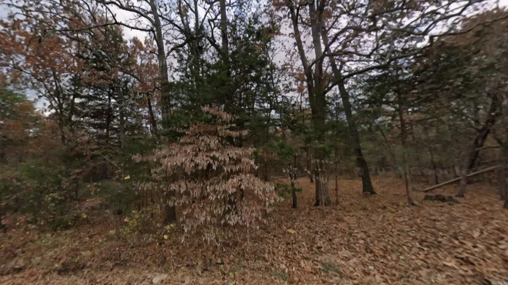 Lot 14 Fawn Street, Lead Hill