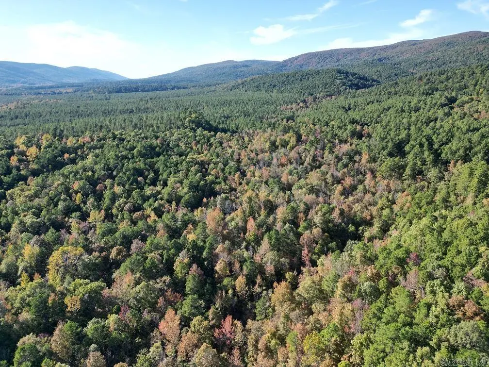 Unk Polk Road 90, Mena