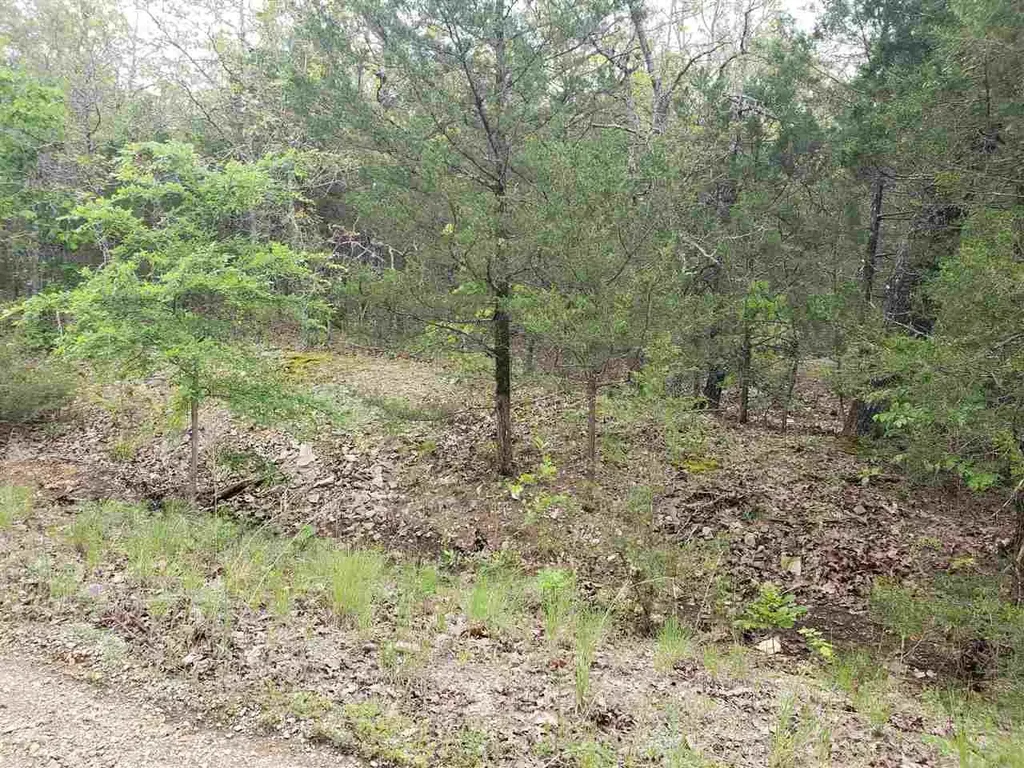 L-9 B-10 Pahokee Drive, Cherokee Village