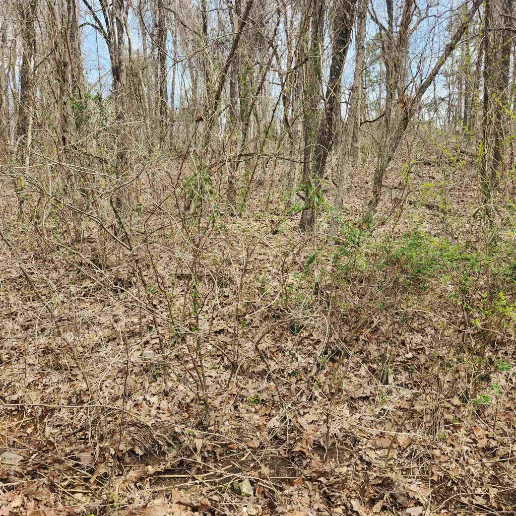 L-15, B-9 Choctaw Drive, Cherokee Village