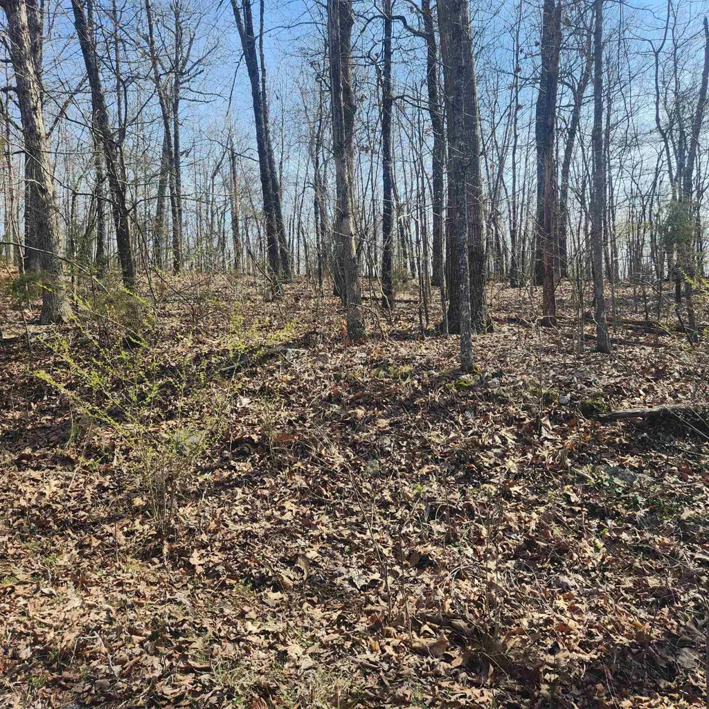 L-4, B-6 Chickasaw Drive, Cherokee Village