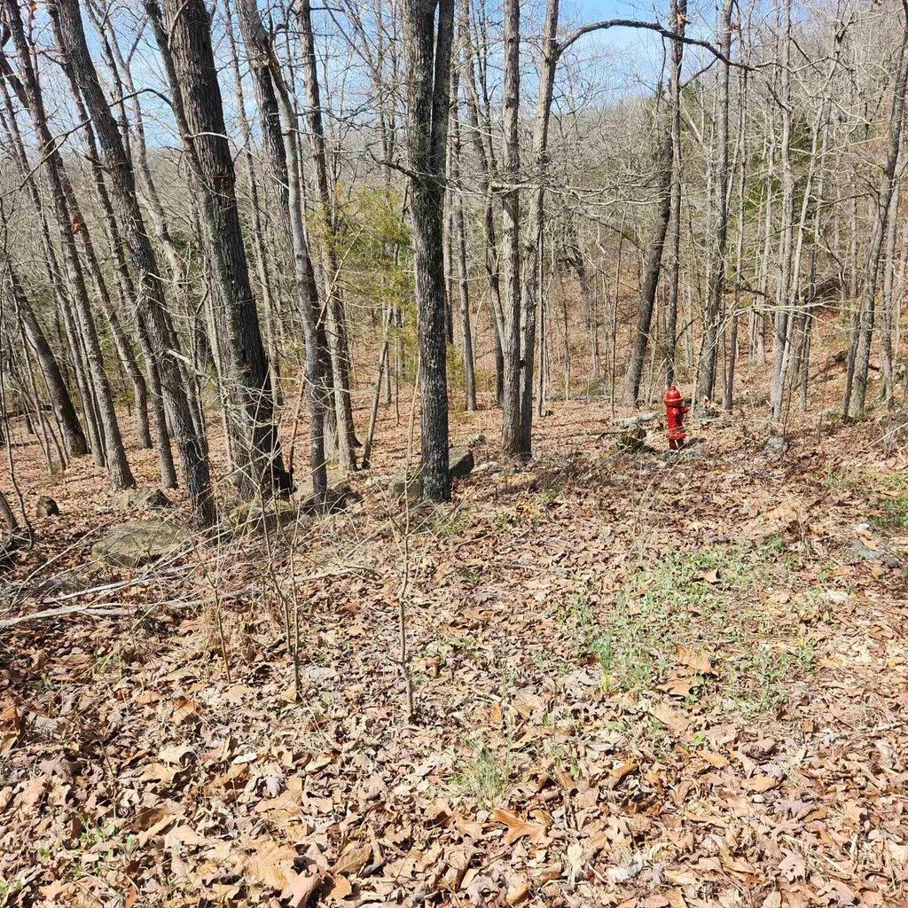 L-6, B11 Flathead Drive, Cherokee Village