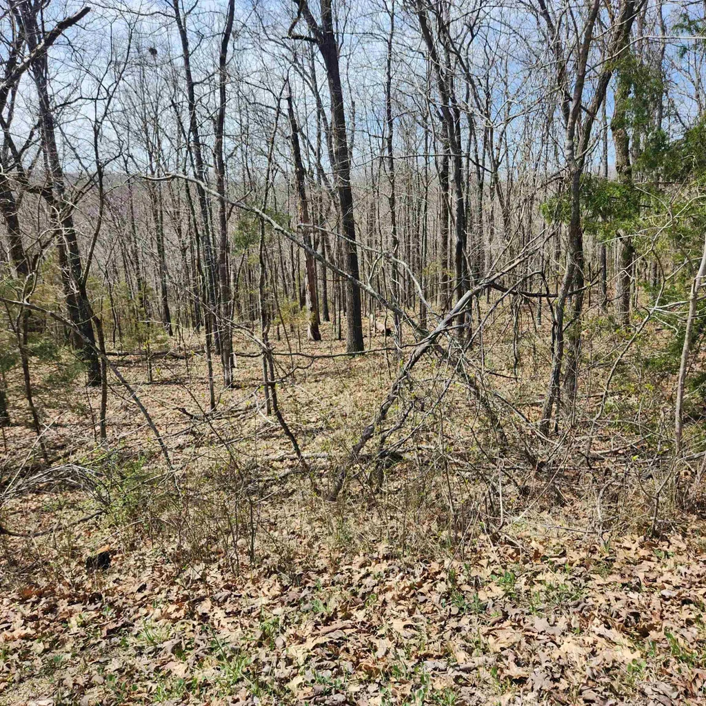 L-2 B-11 Flathead Drive, Cherokee Village