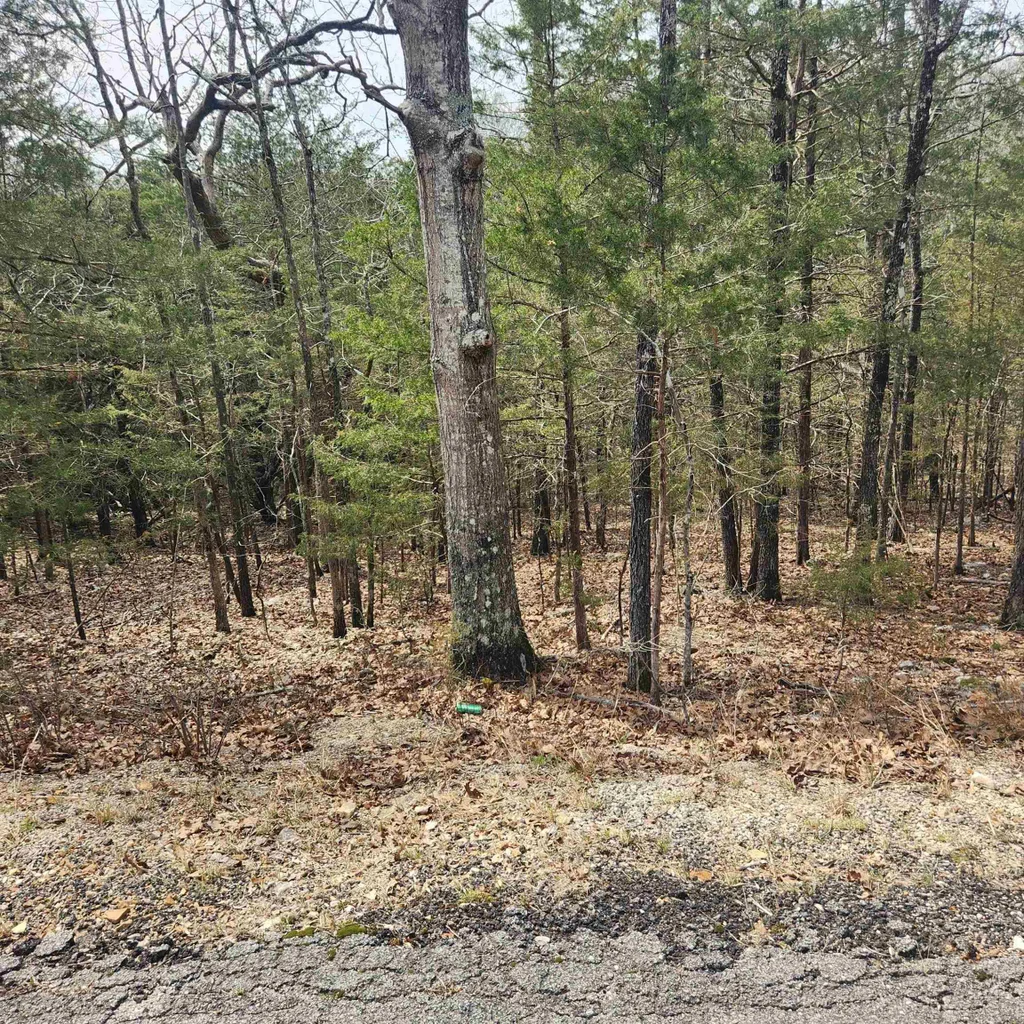 L6, B12 Cochise Road, Cherokee Village