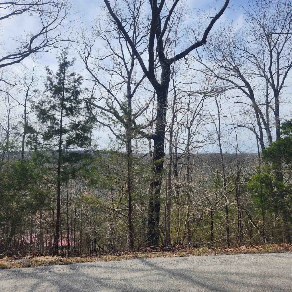 L-13, B11 Flathead Drive, Cherokee Village