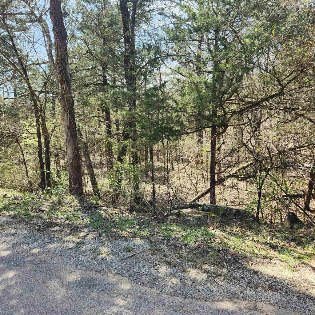 L 19 B 9 Ouachita Road, Cherokee Village