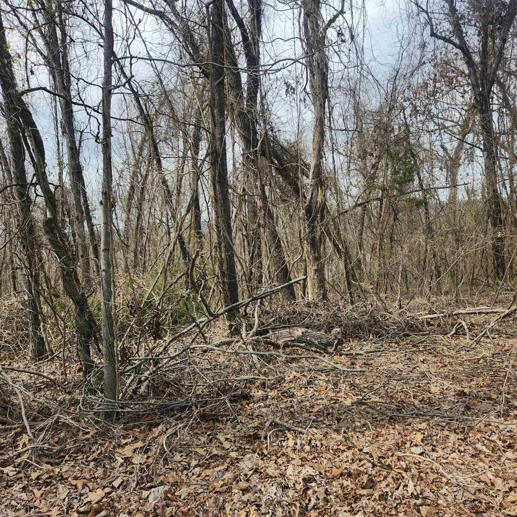 L-1, B-9 Hiawatha Drive, Cherokee Village