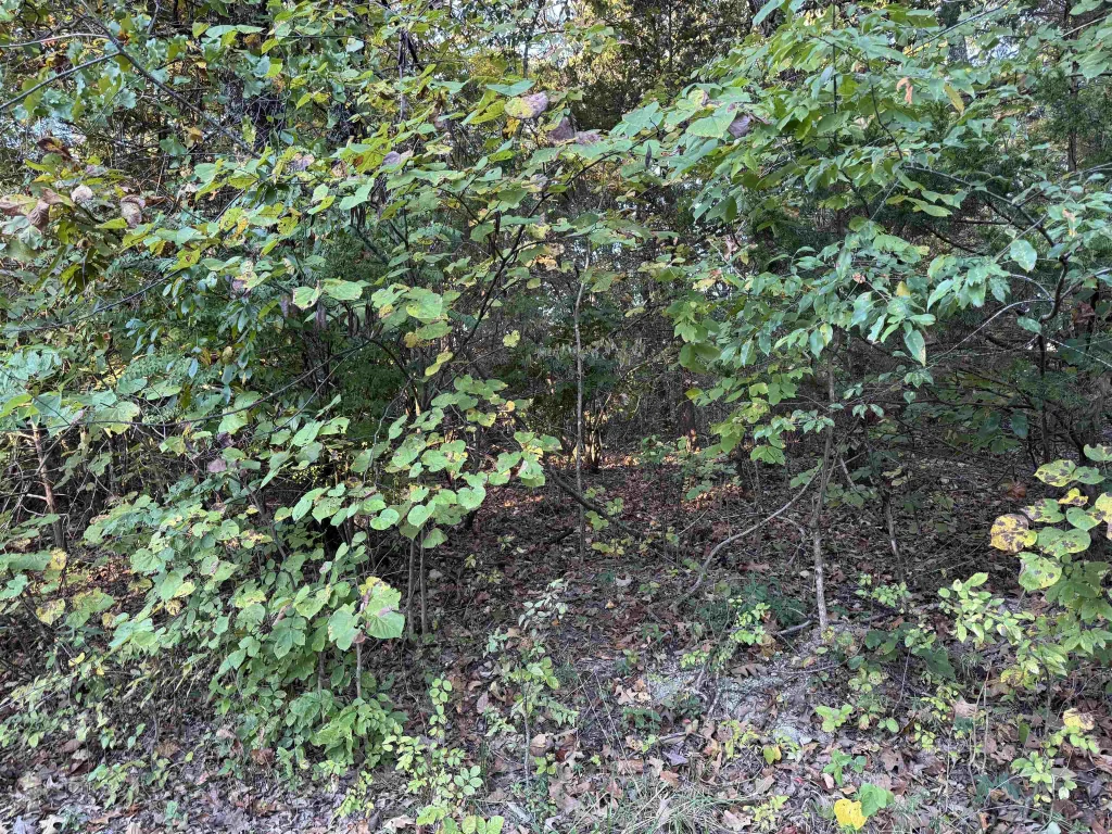 1108 & 1110 Pavilion Lane, Horseshoe Bend