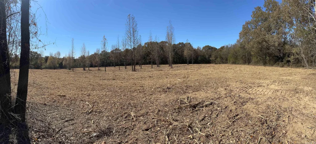 000 Little Red Mountain Road, Pangburn