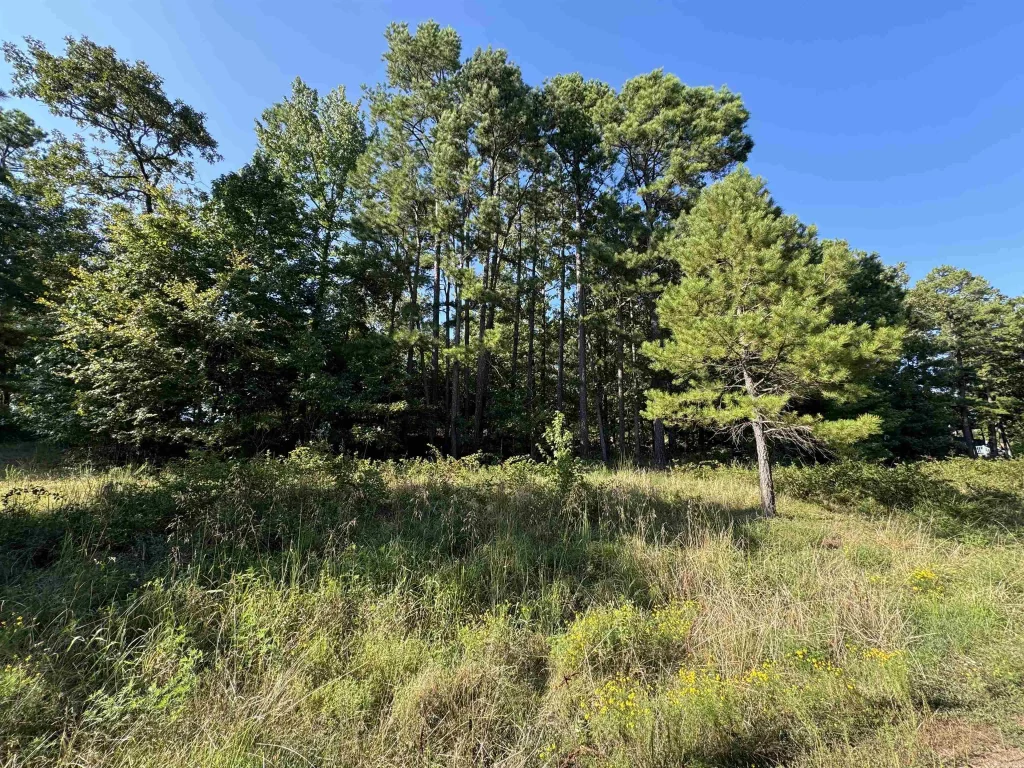 Lot 18 Primrose Creek, Heber Springs