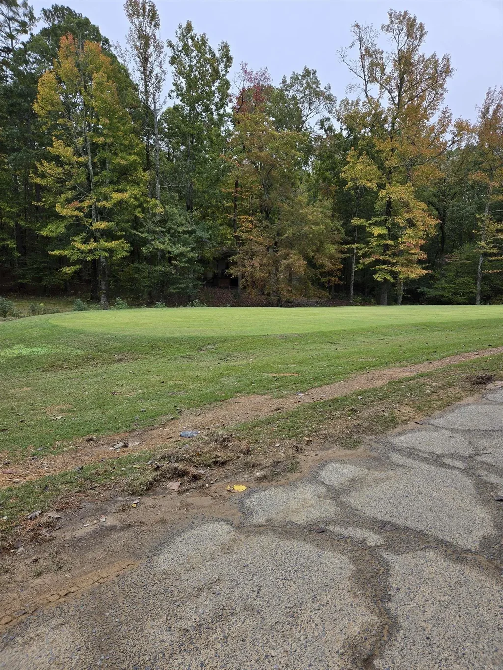 Xx Pinocha Way, Hot Springs Village